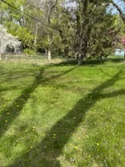 Green residential lawn beneath mature trees with visible mowing lines.