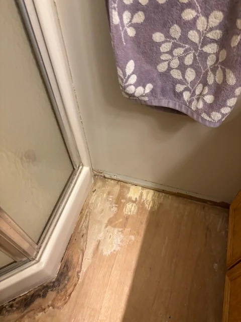 Bathroom floor with tile removed beside a glass shower enclosure.